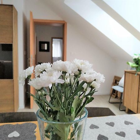 Bratislava Design Apartment Buitenkant foto